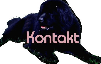 kontakt.gif (6141 Byte)